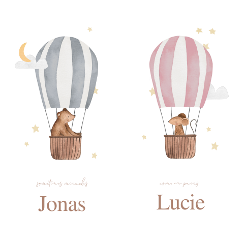 Lief tweeling geboortekaartje met dieren in luchtballonnen