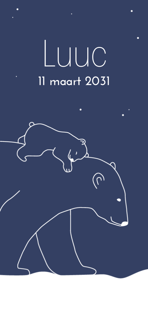 Winter geboortekaartje voor jongen met ijsbeertjes op donkerblauw