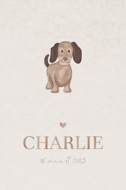 Geboortekaartje unisex met schattige teckel en hoogglans letters