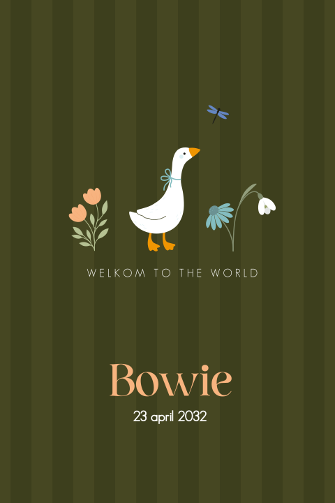 Geboortekaartje voor een jongen met lief gansje en bloemen