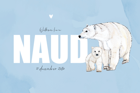 Winters blauw geboortekaartje met illustraties ijsberen