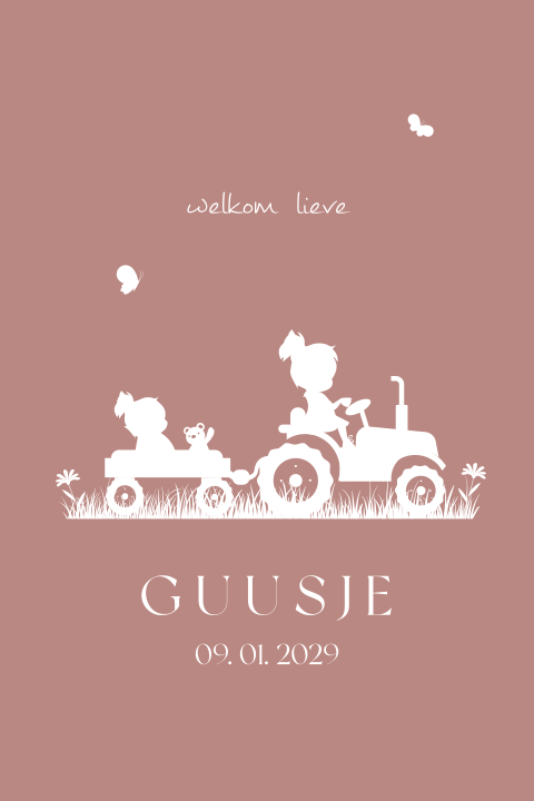 Lief geboortekaartje met silhouet zusjes op de traktor