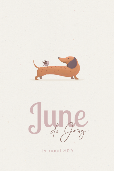 Lief geboortekaartje meisje met teckel en vogeltje