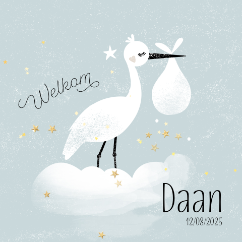 Lief geboortekaartje ooievaar met sterretjes