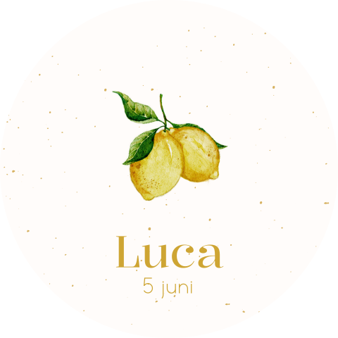 Raamsticker rond met citroenen