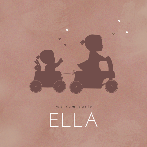 Lief geboortekaartje met silhouetjes en velvet-look voor een zusje