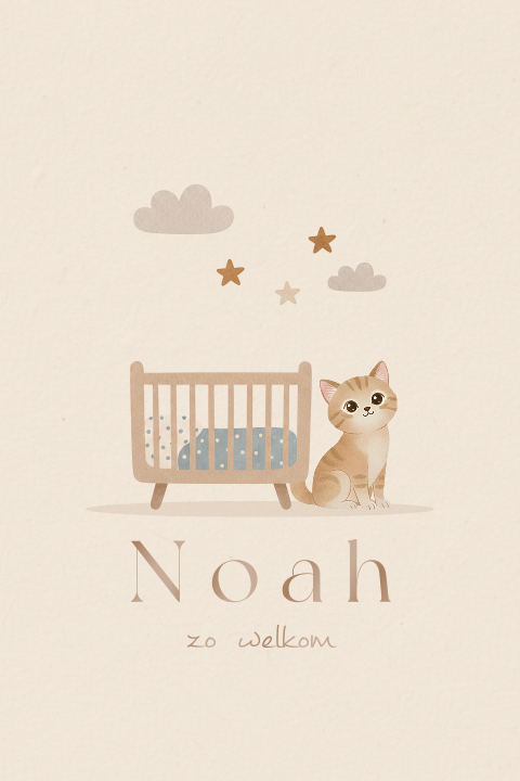 Lief geboortekaartje met kat bij het wiegje en naam in hoogglans