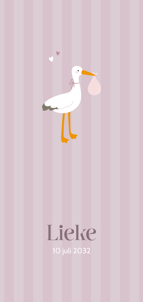 Lief geboortekaartje voor een meisje met schattige ooievaar