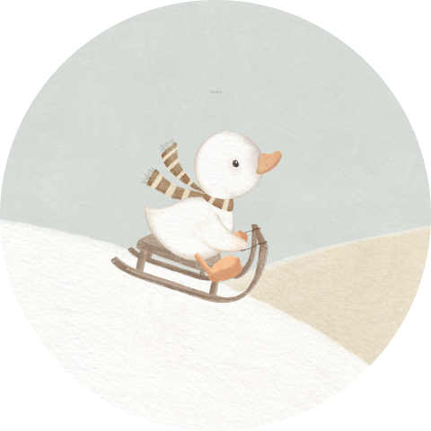 Sluitsticker winter met eendje