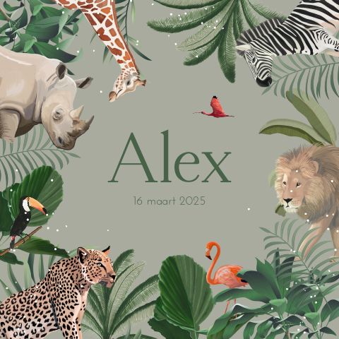 Poster met jungledieren
