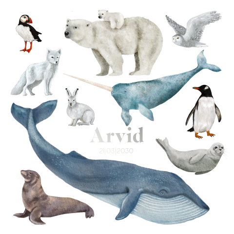 Schoolplaat geboortekaartje pooldieren zilverfolie