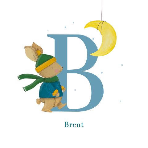 Winter geboortekaartje met illustratie van konijn en grote letter