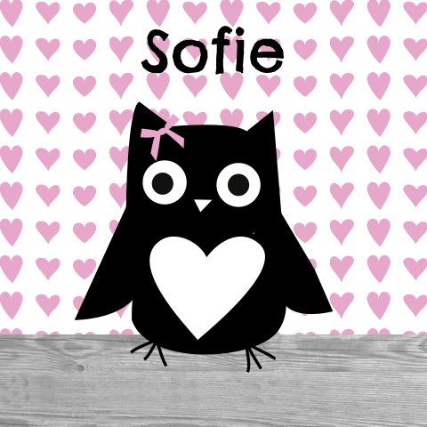Geboortekaartje voor meisje met schattig uiltje