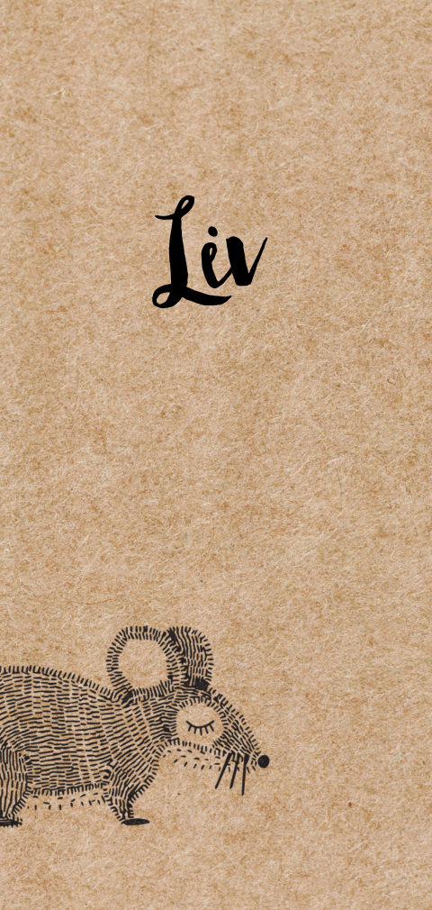 Bijzonder geboortekaartje met muis