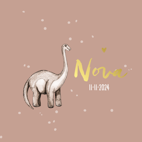 Geboortekaartje dochter dino met goudfolie en stipjes