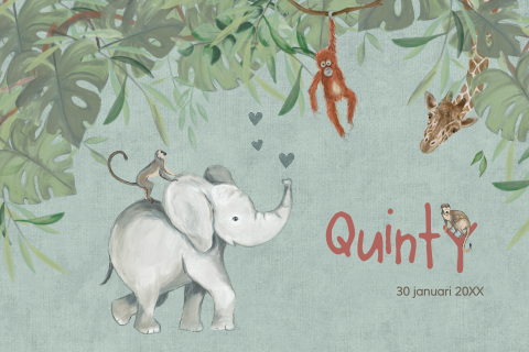 Lief jungle geboortekaartje voor zoon met olifant en aapjes