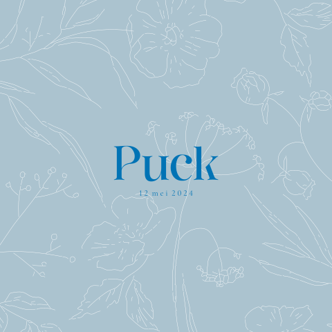 Klassiek blauw geboortekaartje met lijntekeningen van bloemen