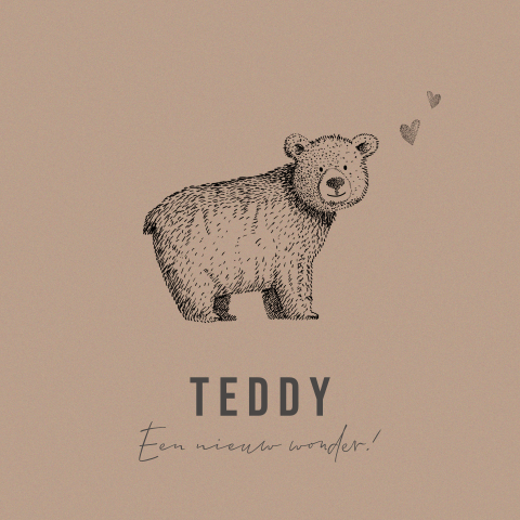 Stoer geboortekaartje bruin met pentekening beer