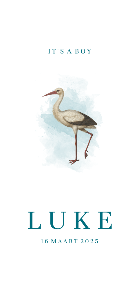 Vintage geboortekaartje voor jongen met trendy ooievaar