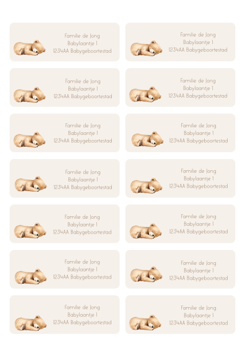Adresstickers beige met slapend beertje