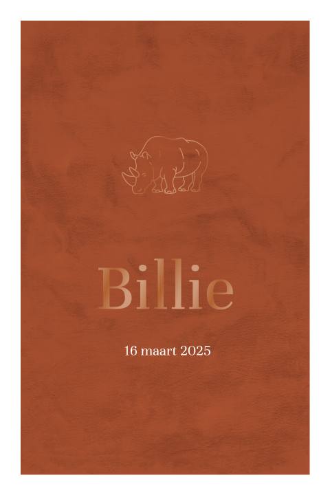 Minimalistische geboortekaart zoon hoogglans neushoorntje met kader