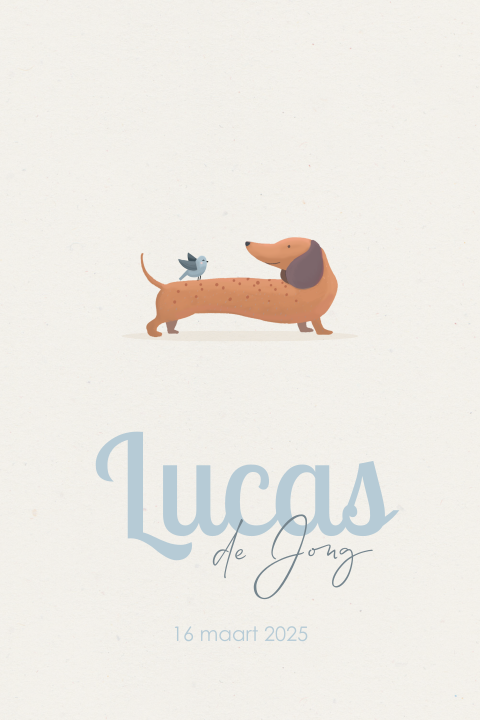 Lief geboortekaartje jongen met teckel en vogeltje