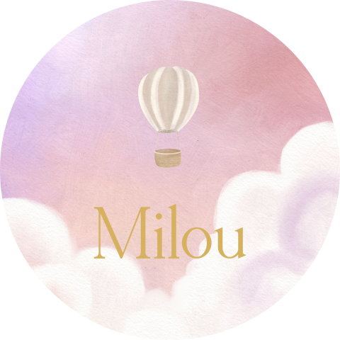 Raamsticker rond roze met luchtballon