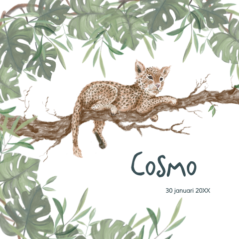 Stoer geboortekaartje met getekende panter en ronde hoeken