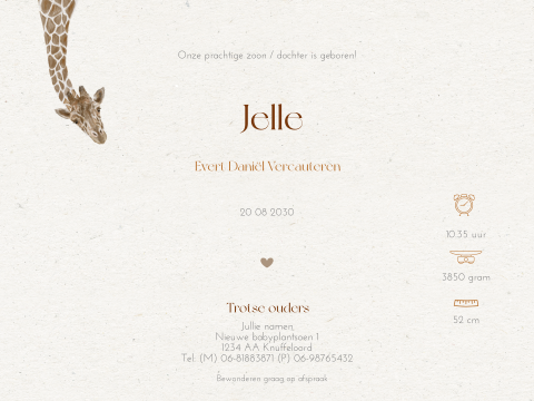 Theatervouw geboortekaartje unisex met giraf op kraft-look