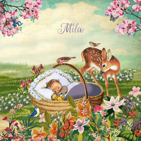 Geboortekaartje met mandje en hertje in lente bloemenveld
