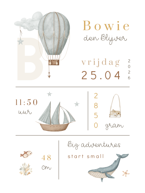 Kinderkamer poster met illustraties en geboortegegevens
