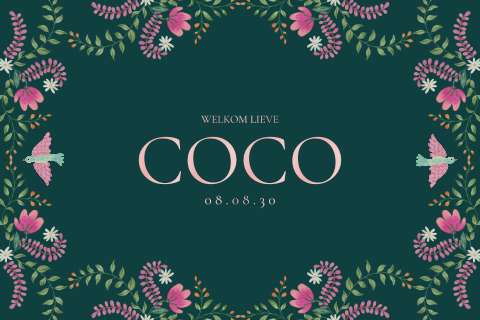 Mooi geboortekaartje met folk takjes, bloemen en vogeltjes