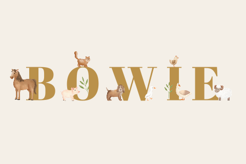 Tuinbord met boerderijdieren