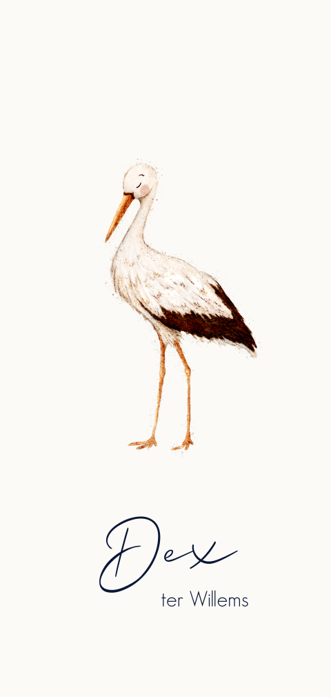 Sfeervol geboortekaartje met watercolour ooievaar