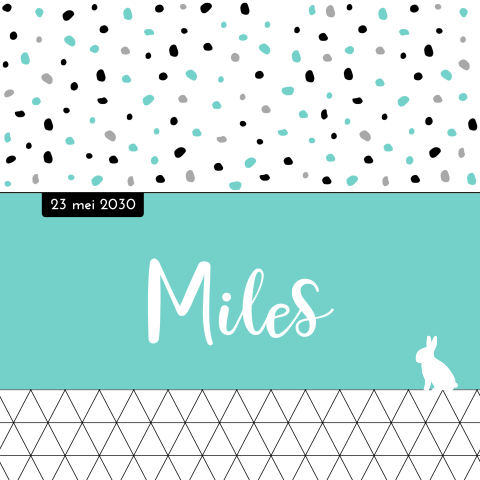 Lief geboortekaartje voor jongen met stipjes driehoekje en konijntje