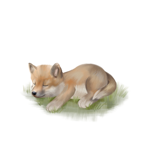 Sluitsticker met slapende wolf in het gras
