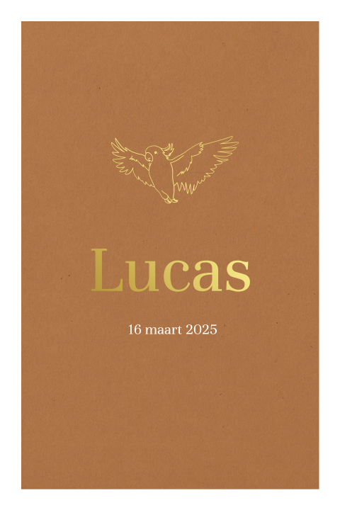 Minimalistisch geboortekaartje zoon goudfolie lijntekening vogeltje