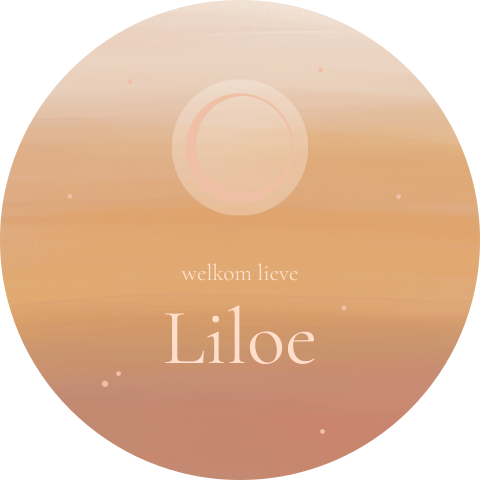 Raamsticker rond met aardetinten