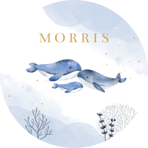 Lieve raamsticker met watercolour en walvissen