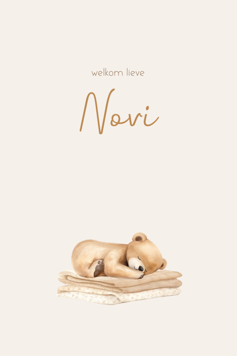 Raamsticker staand met slapend beertje