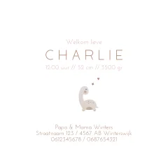 Stoer geboortekaartje met getekende dino's voor jongen of meisje