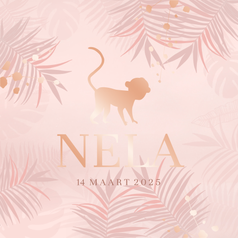 Trendy roségoudfolie geboortekaartje voor meisje met silhouet aapje