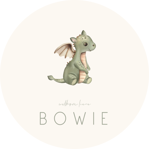 Lief rond tuinbord met baby draakje