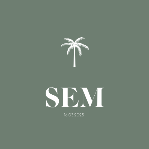 Geboortekaart zoon met palmboompje en ronde hoeken