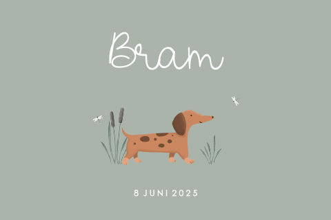 Vrolijk geboortekaartje groen voor jongen met teckel