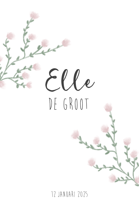 Lief en rustig geboortekaartje met geschilderde takjes en roze bloemen