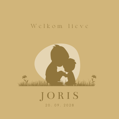Lief geboortekaartje met silhouet knuffelende broertjes