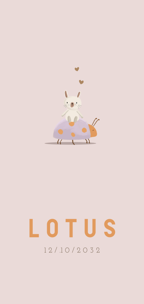 Lief geboortekaartje met lieveheersbeestje en konijn voor een meisje