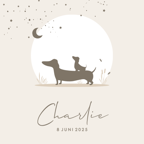 Neutraal geboortekaartje met teckels onder sterrenhemel