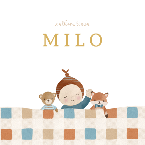 Raamsticker vierkant met jongen en knuffels